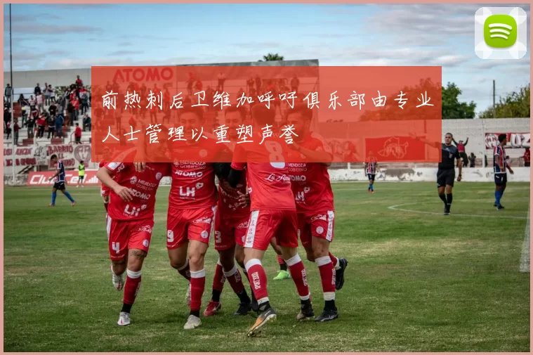 前热刺后卫维加呼吁俱乐部由专业人士管理以重塑声誉